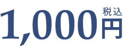 1,000円（税込）